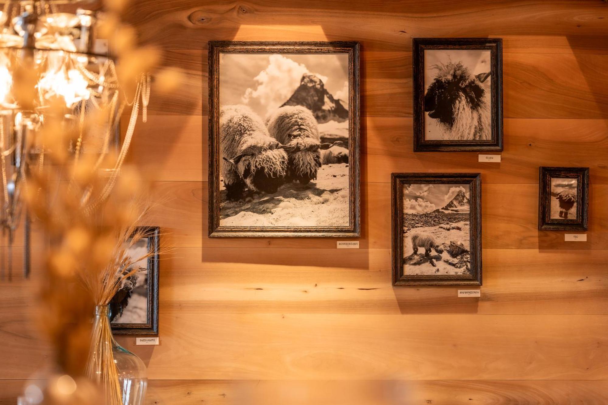 Sonnmatten Boutique Hotel & Apartments Zermatt Bagian luar foto
